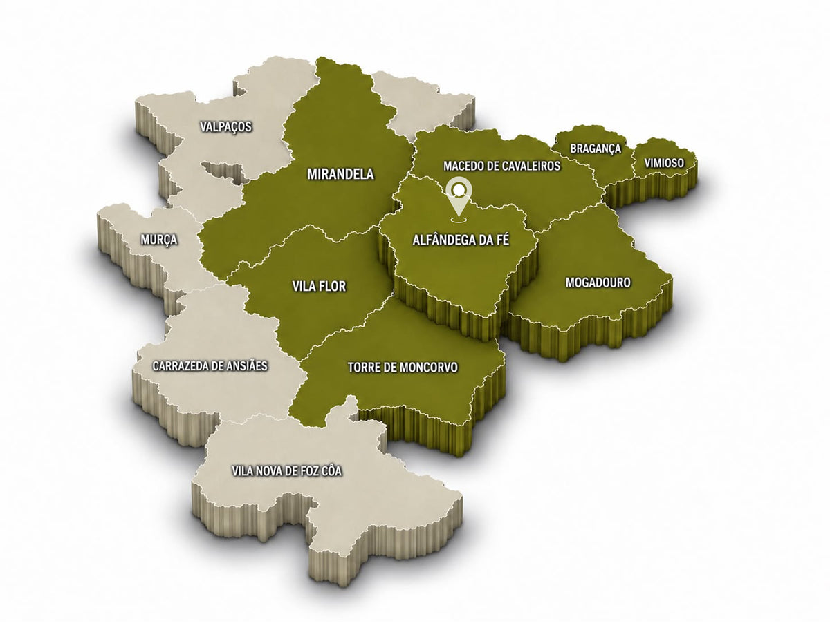 Map of the Trás-os-Montes region